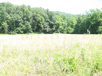 GRSM Accuracy Assessment. Plot Code: GRSM_AA_0741_2