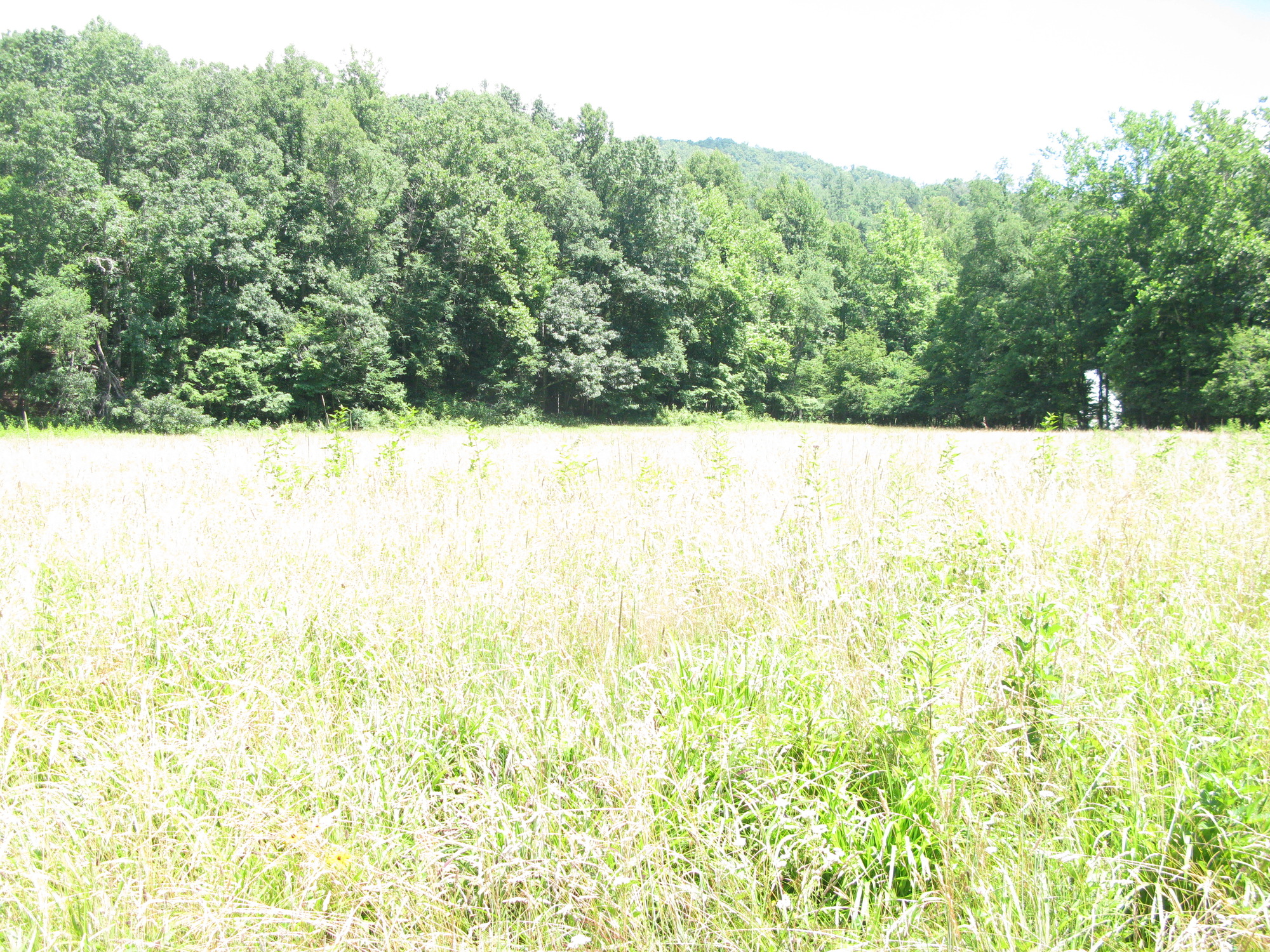 GRSM Accuracy Assessment. Plot Code: GRSM_AA_0741_2