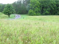 Plot Code: GRSM_AA_0606_5