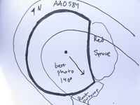 GRSM Accuracy Assessment. Plot Code: GRSM_AA_0584_7