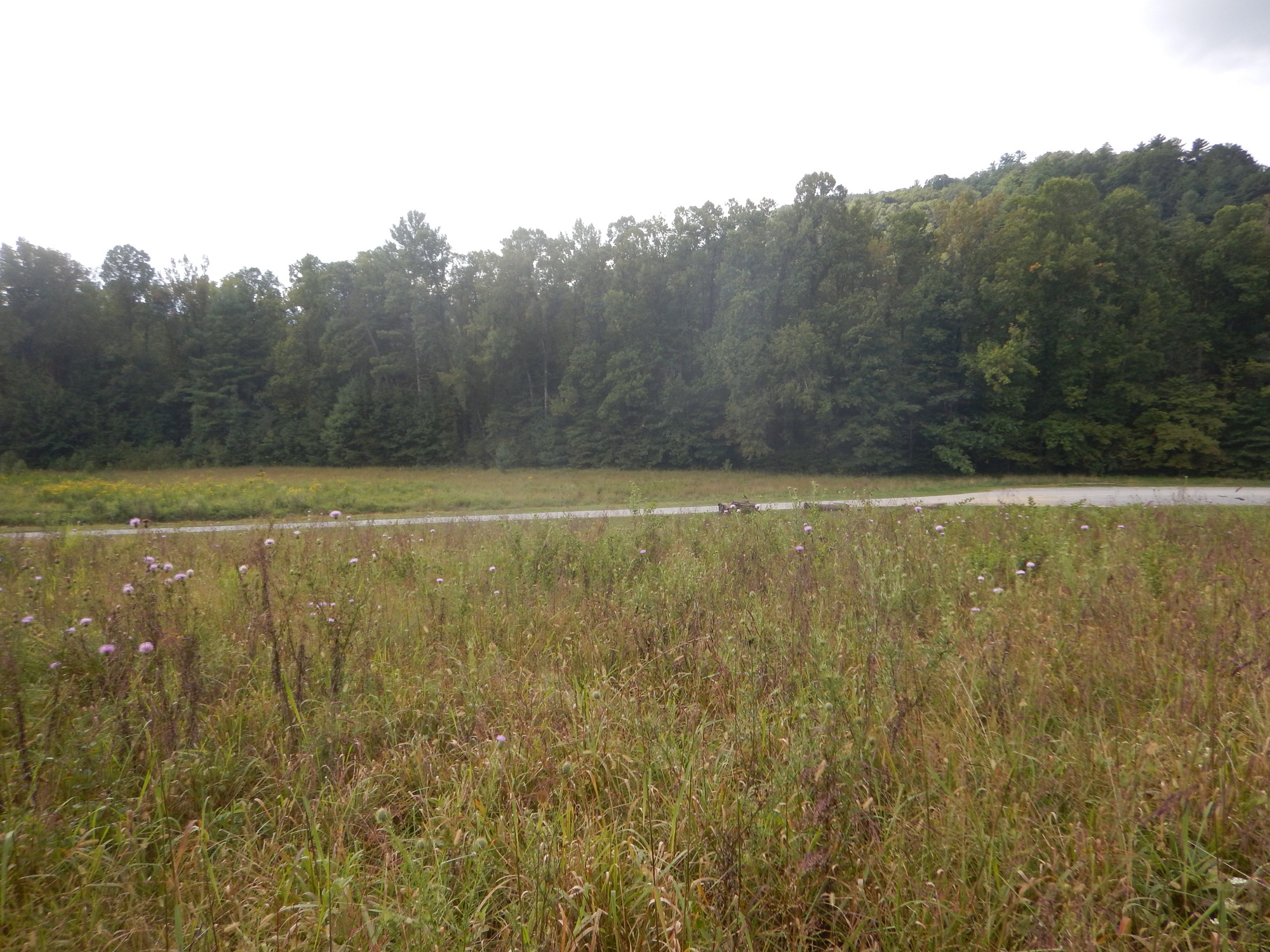 GRSM Accuracy Assessment. Plot Code: GRSM_AA_0633_4