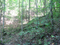 GRSM Accuracy Assessment. Plot Code: GRSM_AA_0674_3