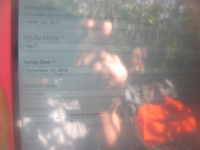 GRSM Accuracy Assessment. Plot Code: GRSM_AA_0677_1