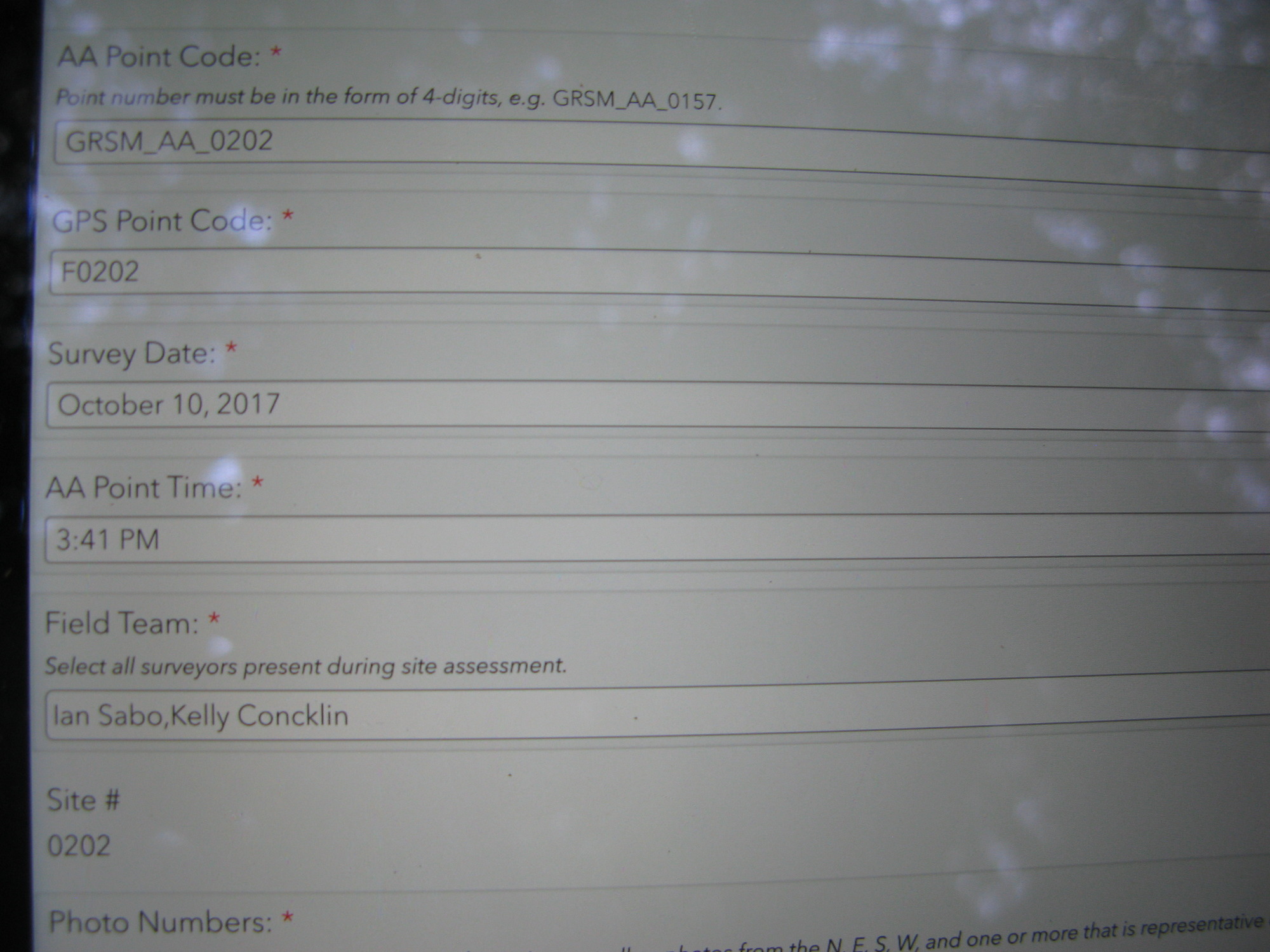 GRSM Accuracy Assessment. Plot Code: GRSM_AA_0202_1
