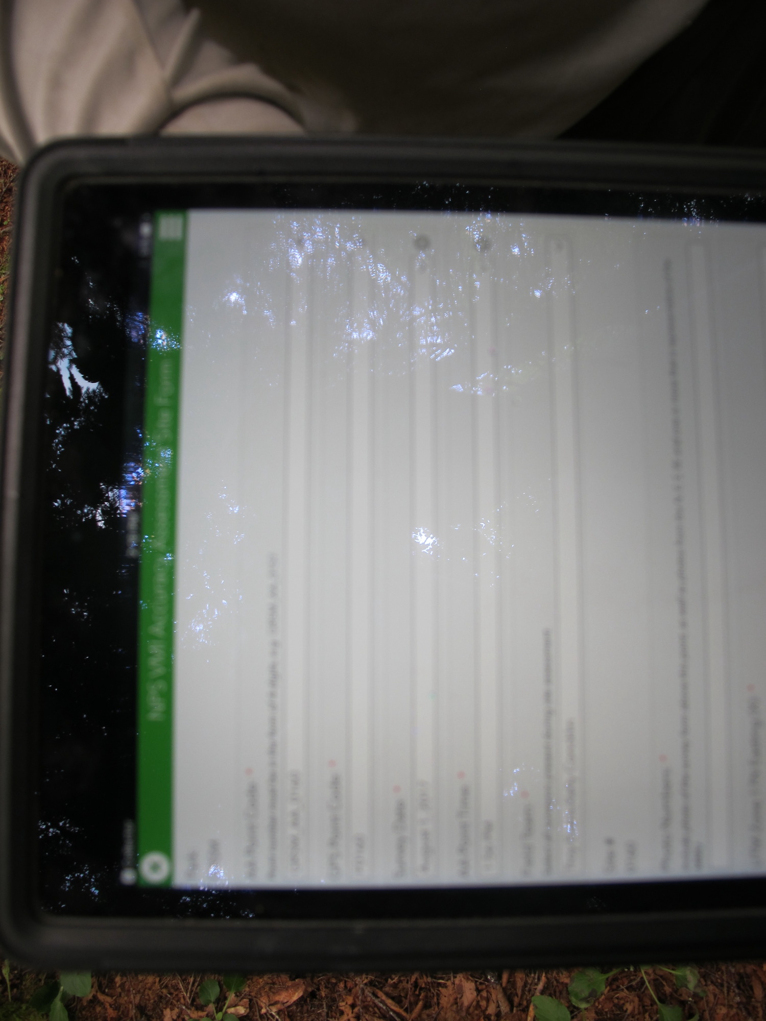 GRSM Accuracy Assessment. Plot Code: GRSM_AA_0160_1