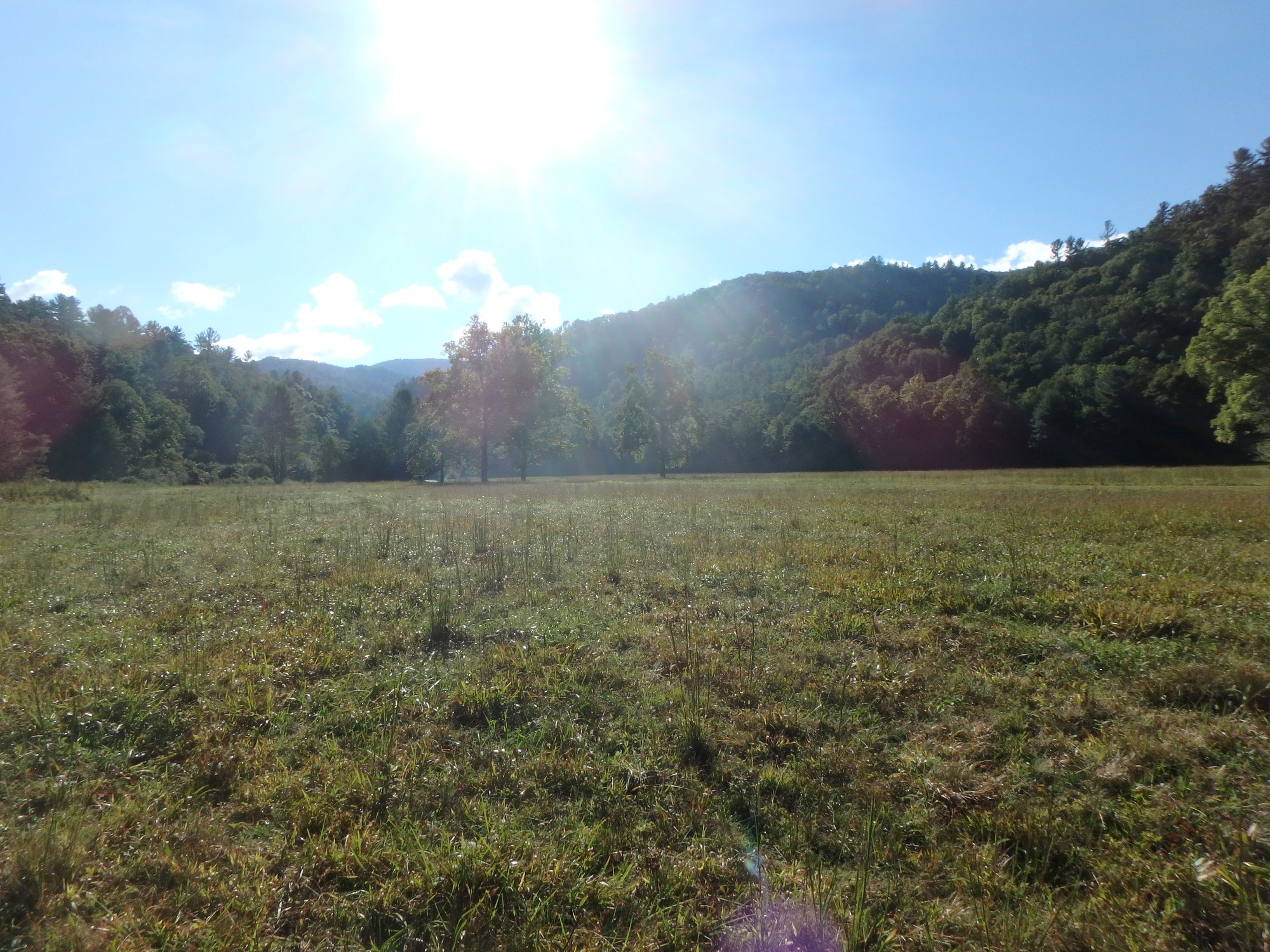 GRSM Accuracy Assessment. Plot Code: GRSM_AA_0064_6