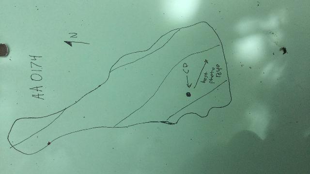 GRSM Accuracy Assessment. Plot Code: GRSM_AA_0174_map