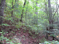 GRSM Accuracy Assessment. Plot Code: GRSM_AA_0519_3