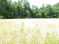 GRSM Accuracy Assessment. Plot Code: GRSM_AA_0741_6