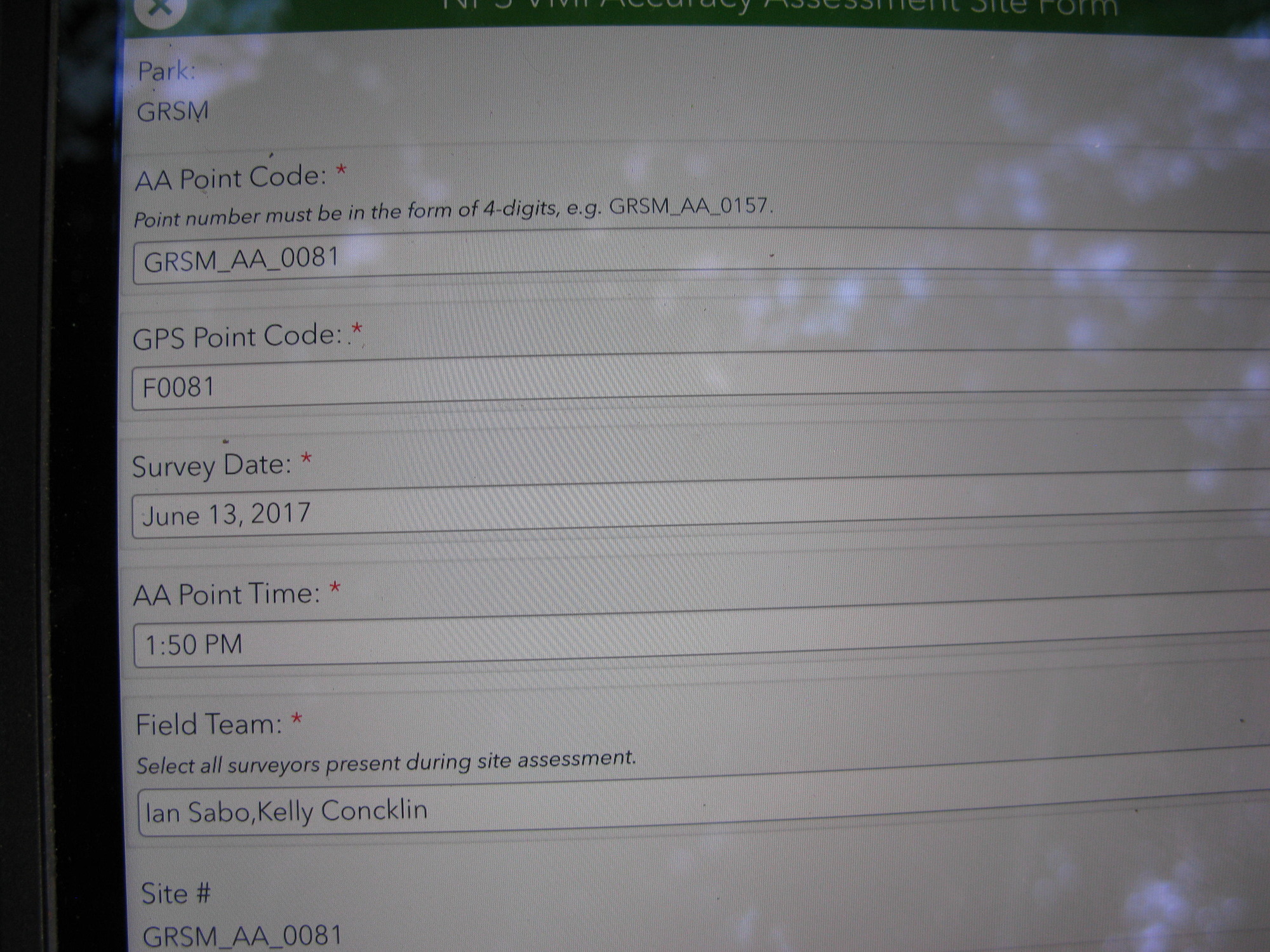 GRSM Accuracy Assessment. Plot Code: GRSM_AA_0081_1