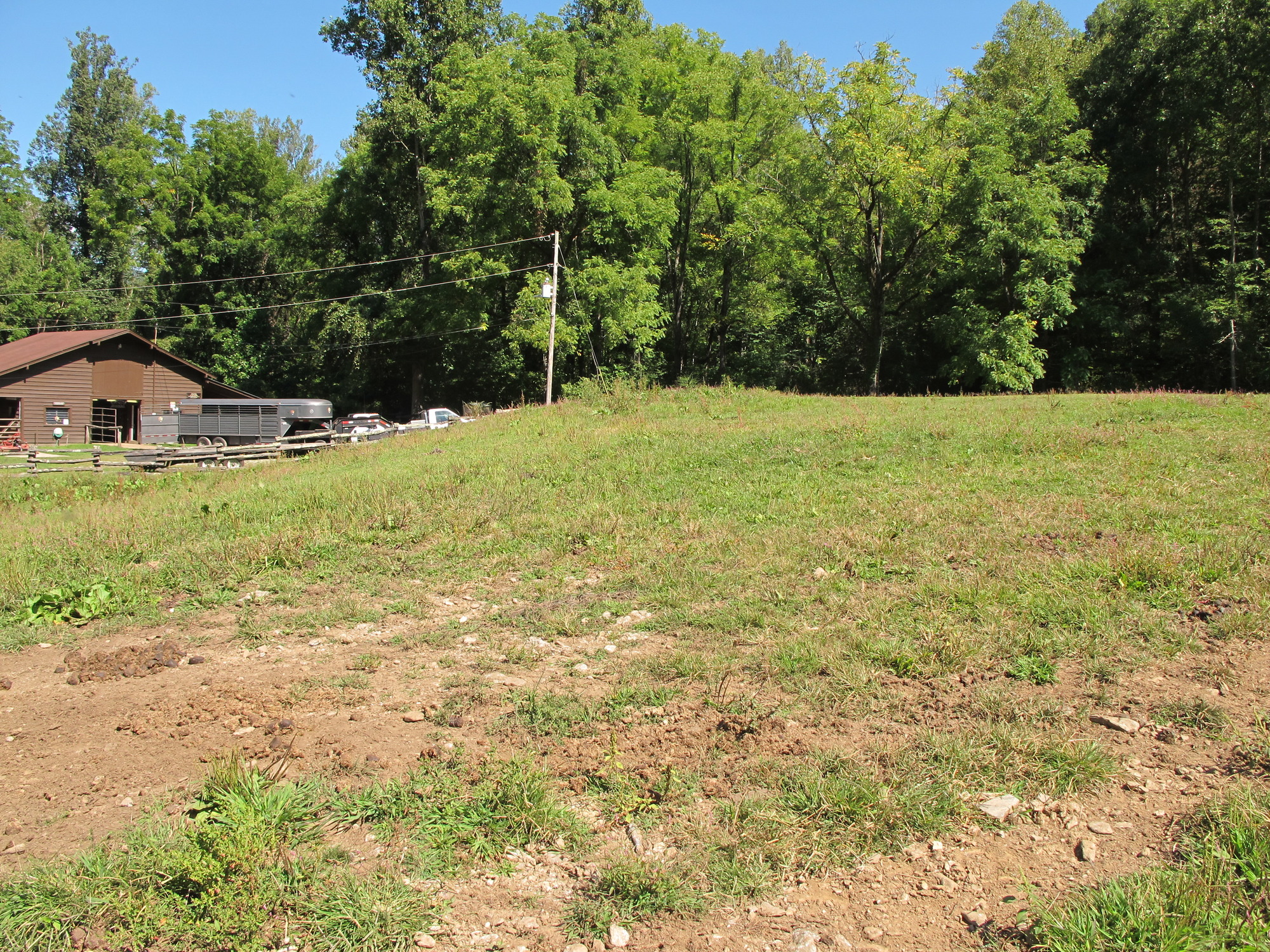 GRSM Accuracy Assessment. Plot Code: GRSM_AA_0807_2