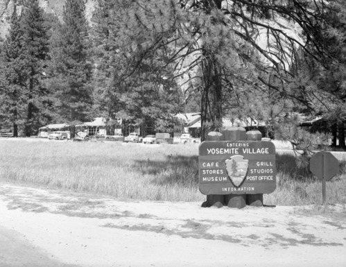 New Construction of the Yosemite Park and Curry Co. Store and Restaurant being erected in Yosemite Village under "MISSION 66". (2 Negatives). Yosemite Valley. For official negative file of Yosemite.