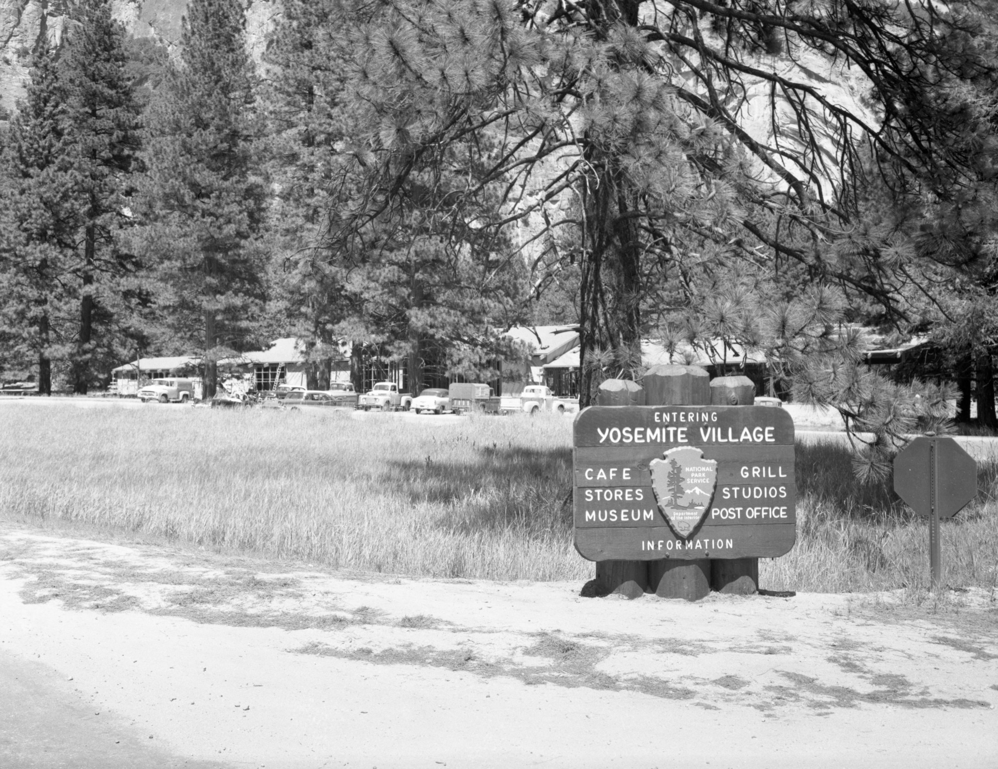 New Construction of the Yosemite Park and Curry Co. Store and Restaurant being erected in Yosemite Village under "MISSION 66". (2 Negatives). Yosemite Valley. For official negative file of Yosemite.