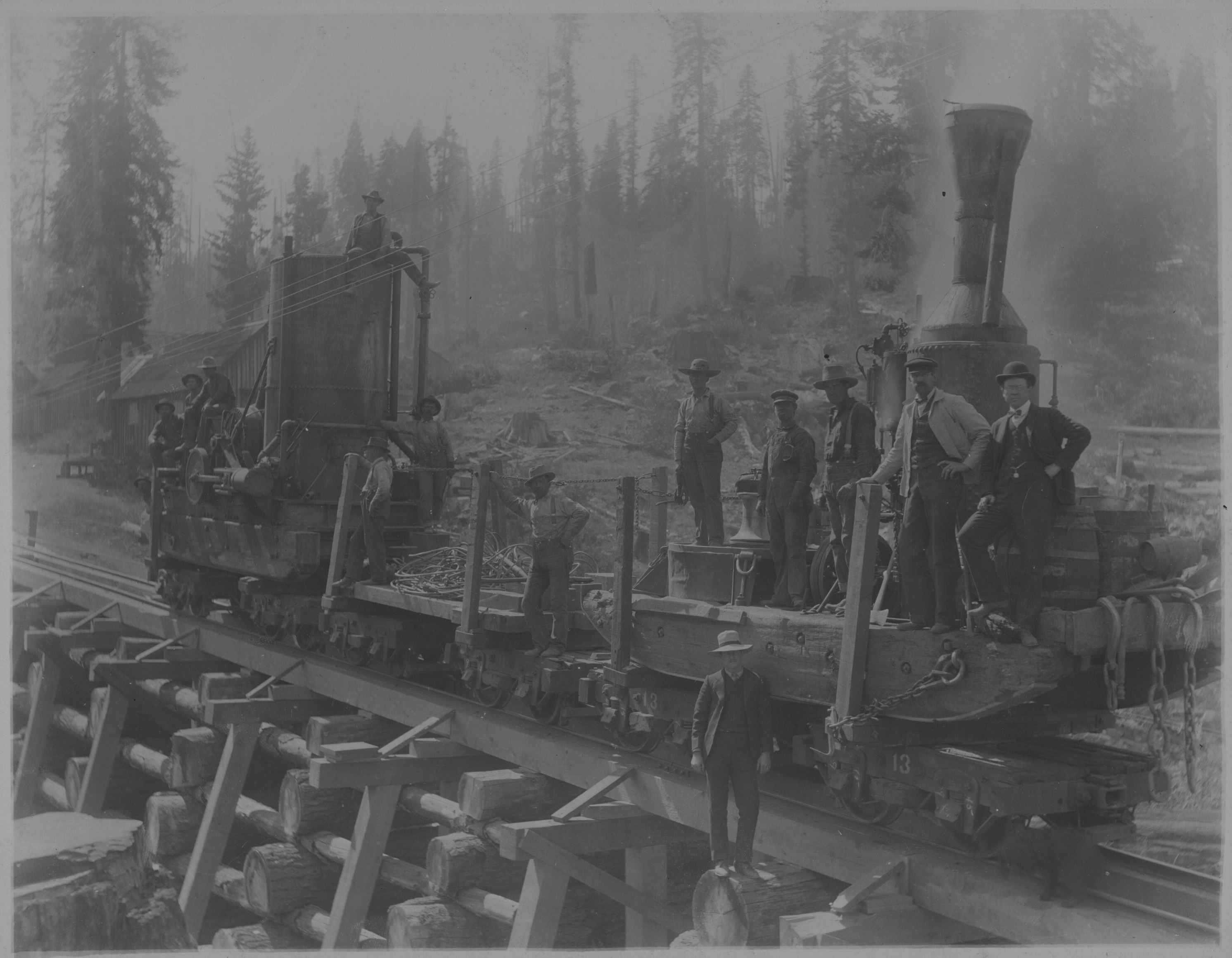 SEKI Roberts Collection Series: 3 Prints; 2 Medium; 8 Logging