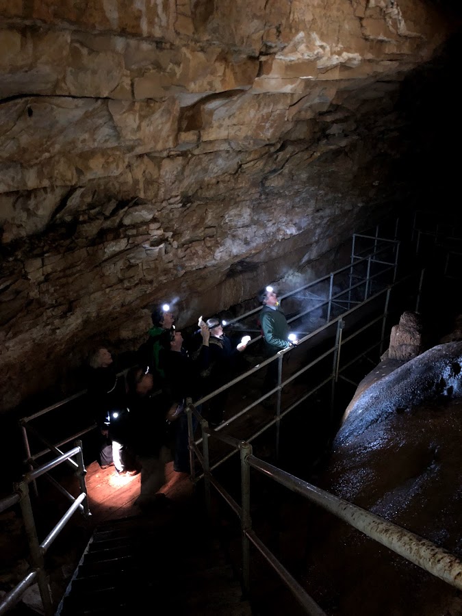 MACA 251003 Photo of the inside of Wondering Woods Cave