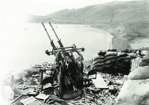 A large gun sits on coast pointing at sky.