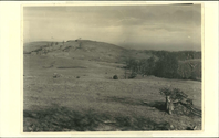 View on top of the Bluff looking east