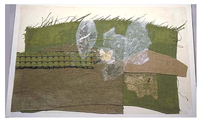 A butterfly, grass texture, and growing plants.