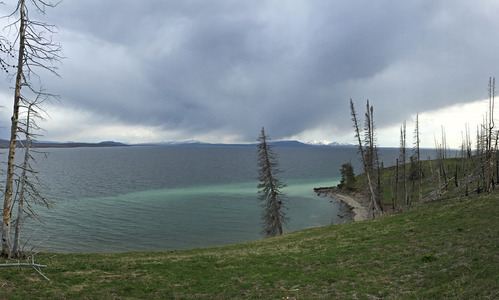 Yellowstone Lake, just east of Steamboat Point in Sedge Bay.