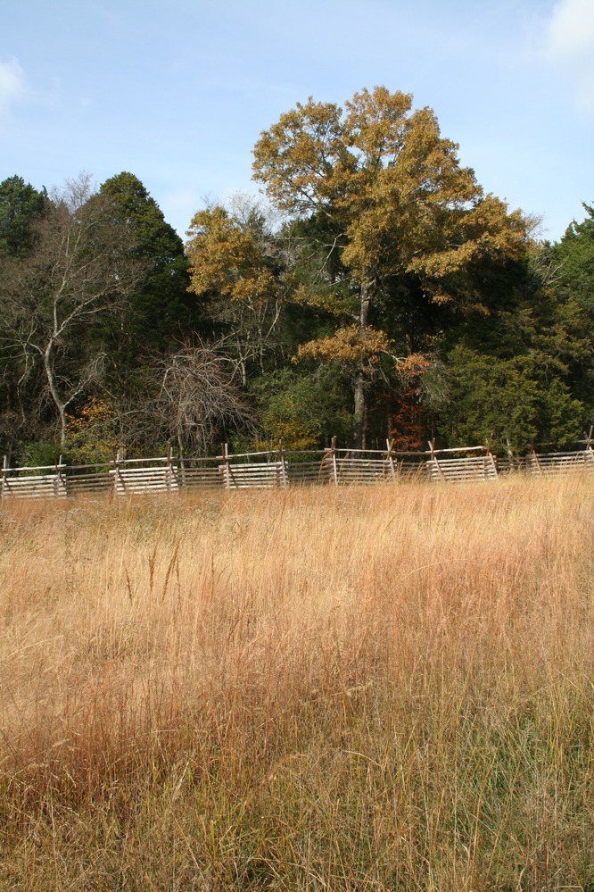 SlaughterPen_2012-11-5 (6)