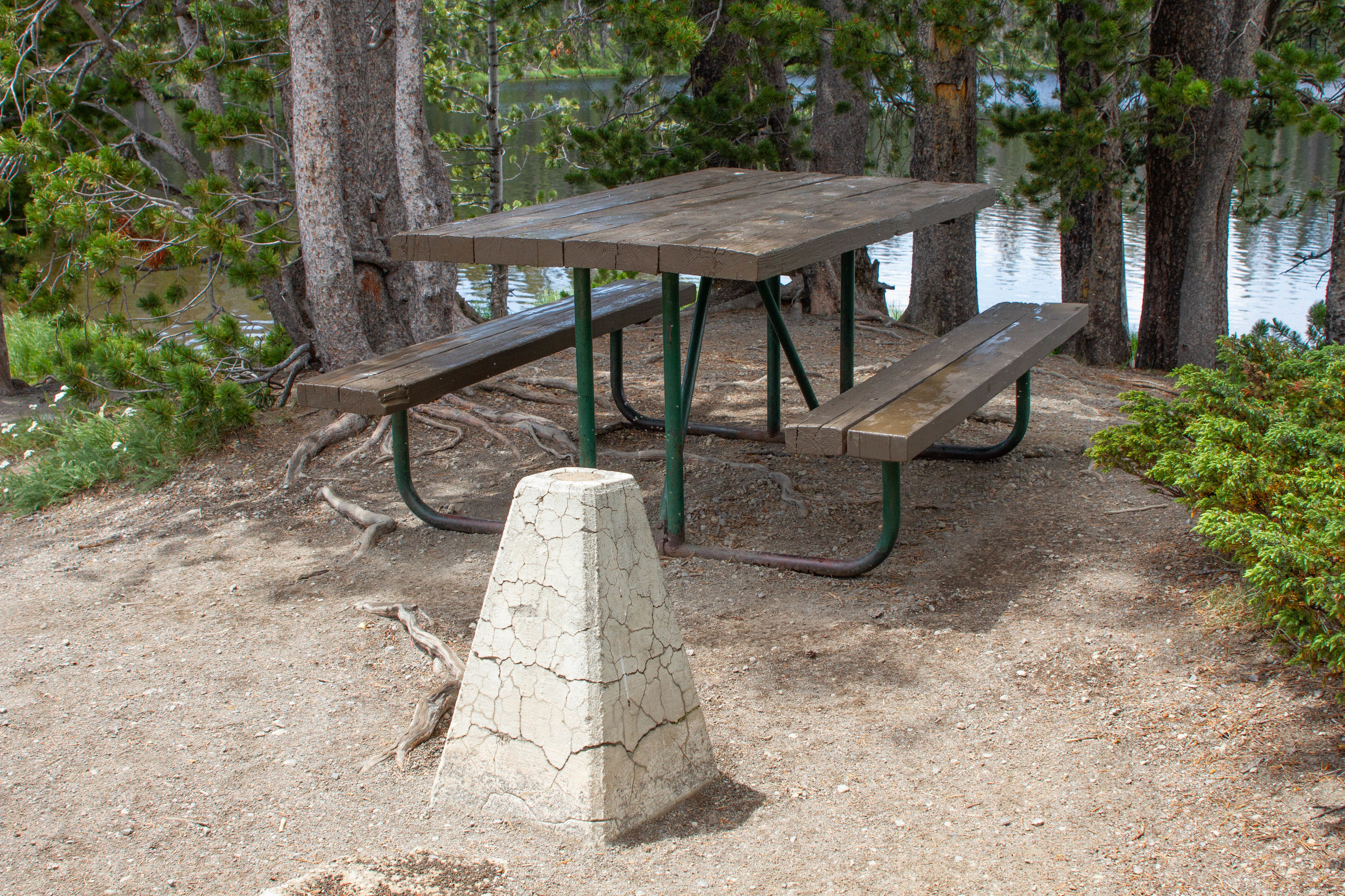 A bench mark pillar sitting in front of a picnic table in a few trees in front of water