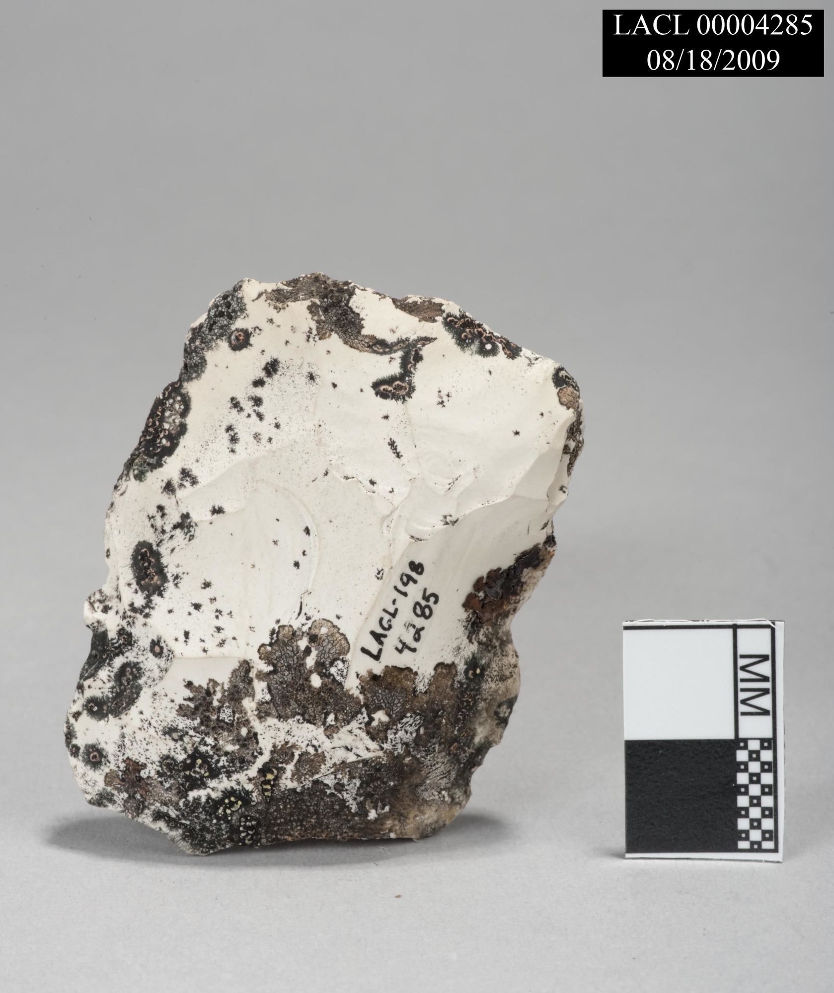 Image of stone biface fragment