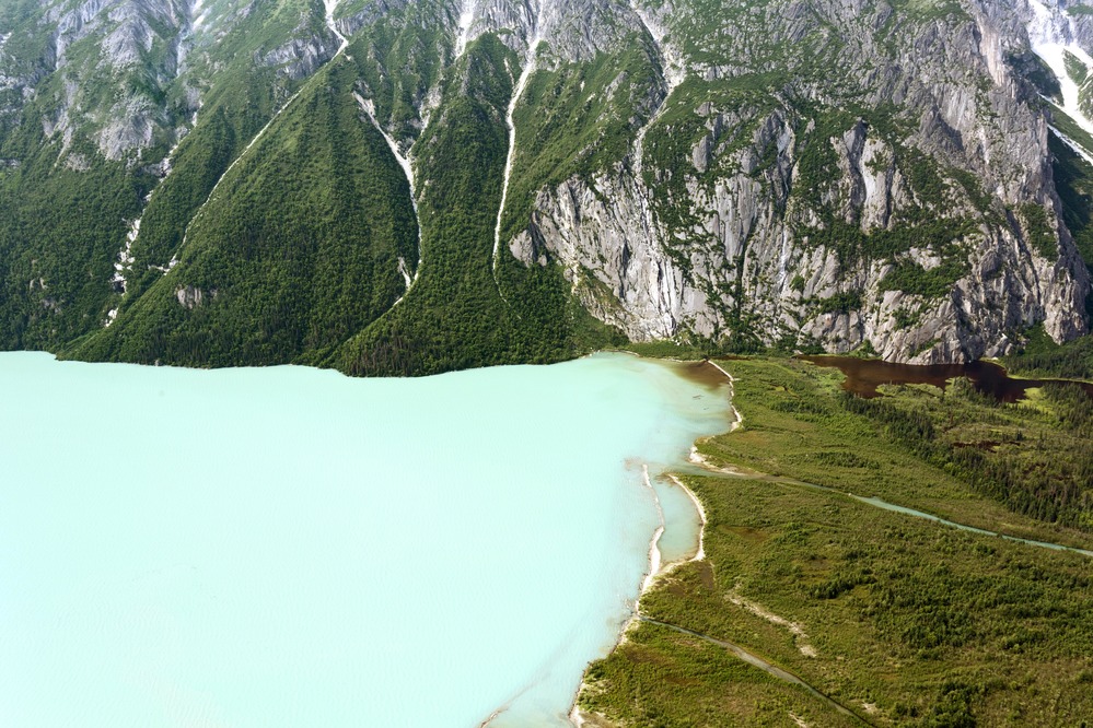 The opaque light blue waters of Lake Clark run up against the stark green shoreline