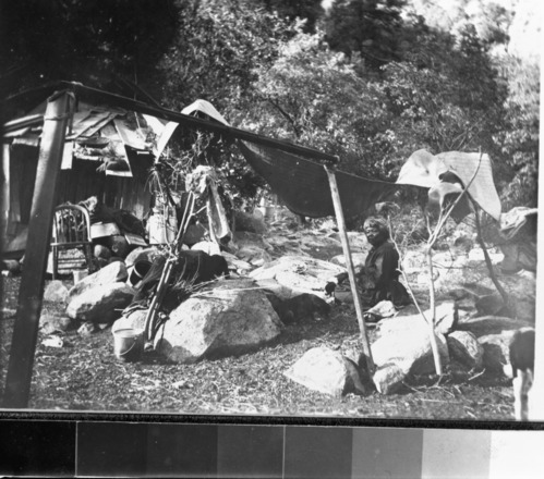 Lucy Brown (?) in Yosemite Valley (aka Old Lucy).
