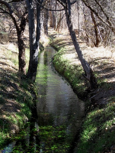 A shaded irrigation ditch with water running, and trees growing on the side.