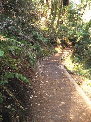 Rec Fee Project: Rehabilitate Notch, Muir Beach Overlook, & Hillside Trails