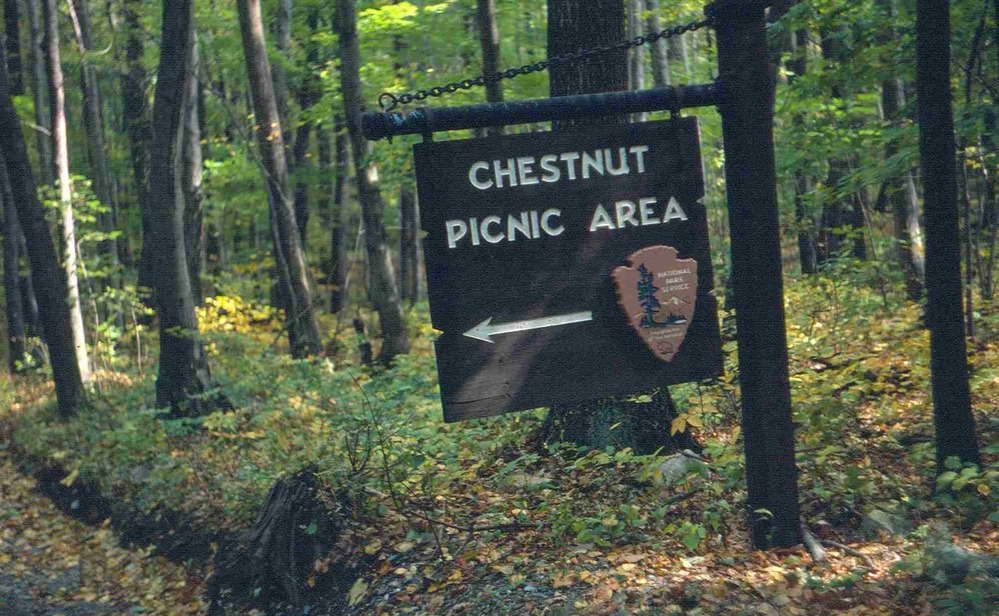Chestnut Picnic Area sign