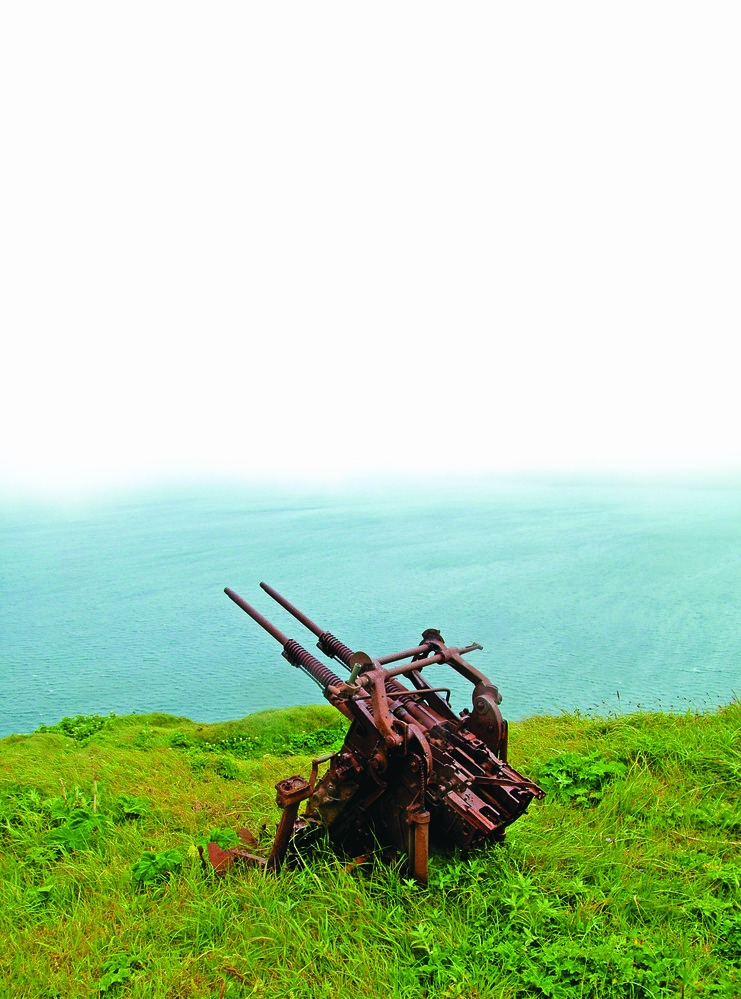 A rusted gun sits on landscape, ocean in the background.