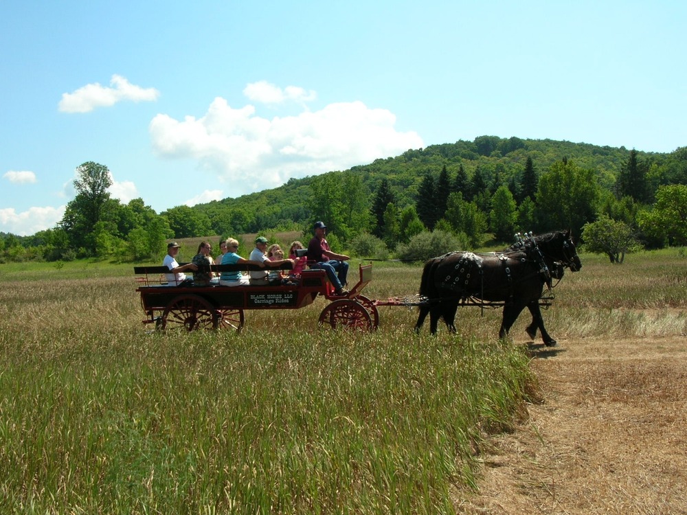 Horse-drawn wagon rides were available at the Dechow and Olsen farms.