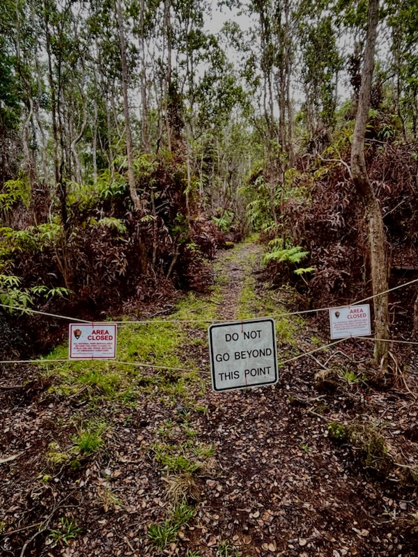 Three signs tied by rope to nearby trees warn visitors not to enter a closed forested area 