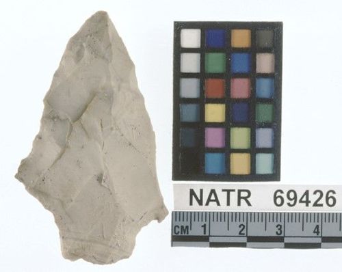 NATR   69426 -- Savannah River projectile point