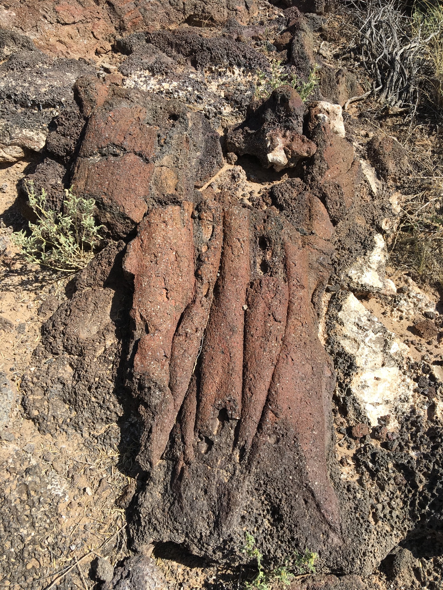 Photograph of pahoehoe. 