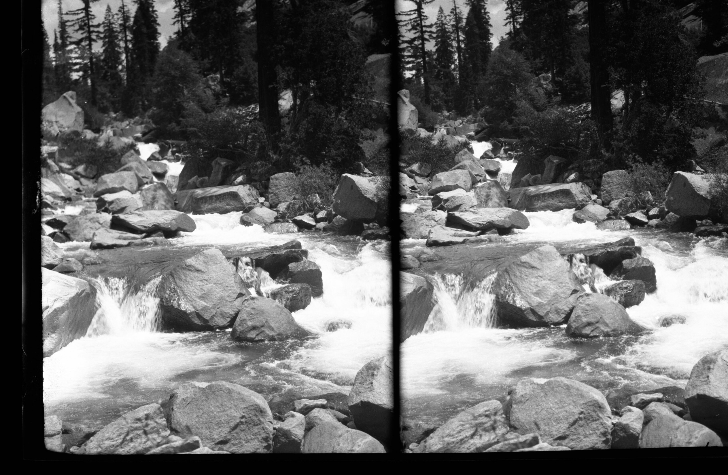 SEKI Roberts Collection Series: 2 Negatives; 15 Stereographs