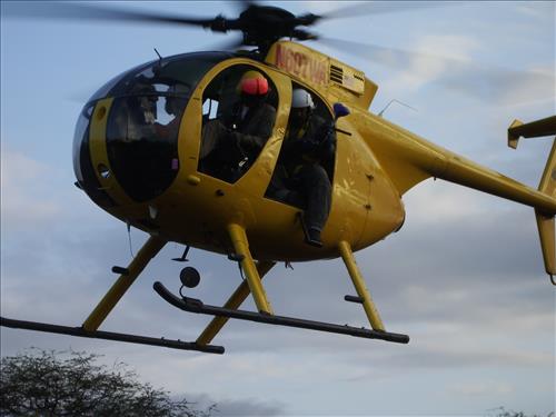 Supporting Images for PMIS#16750 - Mitigate feral animal ingress to protect recovering Haleakala Rainforest