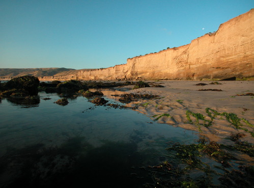 sri-scenics-kdo - 21