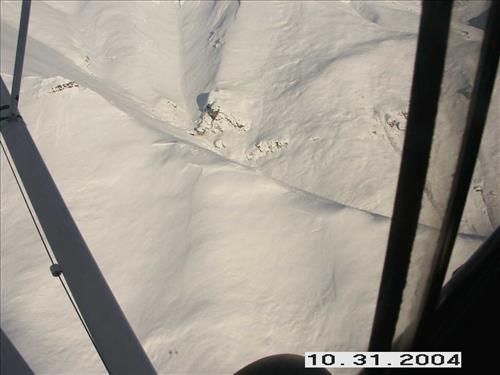 4 Gates of the Arctic National Park and Preserve Koyukuk Moose Survey 2004