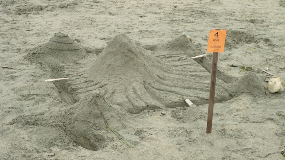 2011 Sand Sculpture Contest: Children's Individual Entry #04: Evil Castle of Mountains, by Rosie