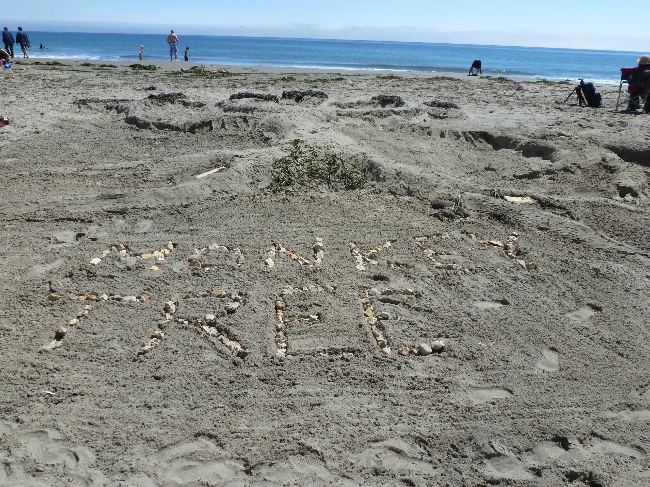 A large sand sculpture of a tree with the words Monkey Tree written with small rocks at the tree's base.