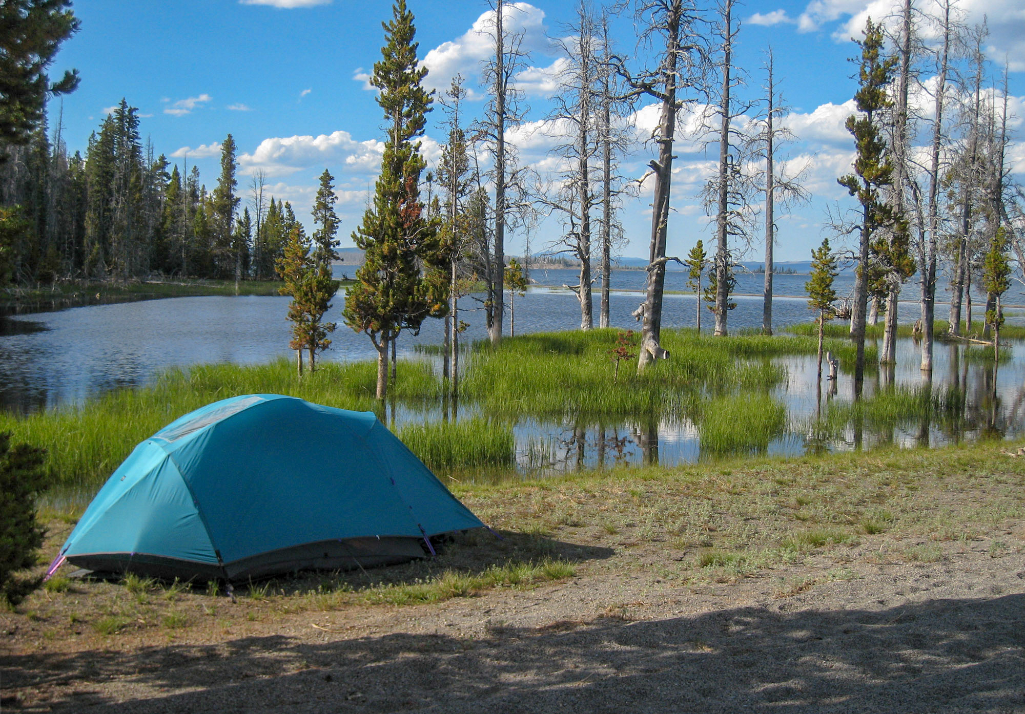 A blue tent sits on the edge of Yellowstone Lake.