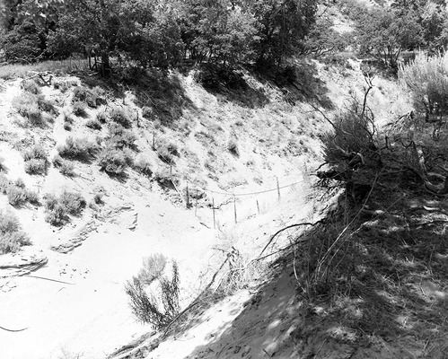 Hop Valley drift fence as a record of construction.