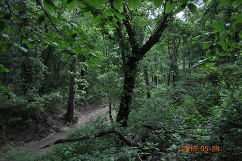 Echo River Springs Trail