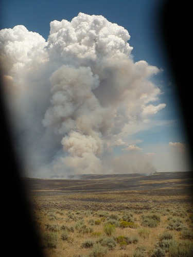 Alpine Hotshots 2008