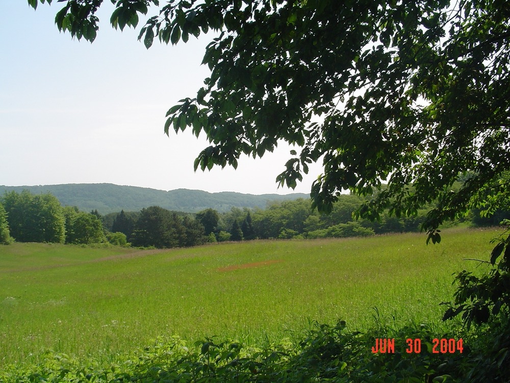 View of the Fields from the Treat House.
