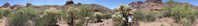 This panorama highlights the vegetation found on the floor of Estes Canyon. There is a visitor added in the images for scale. Please note the size of the Chain Fruit Cholla in this picture.