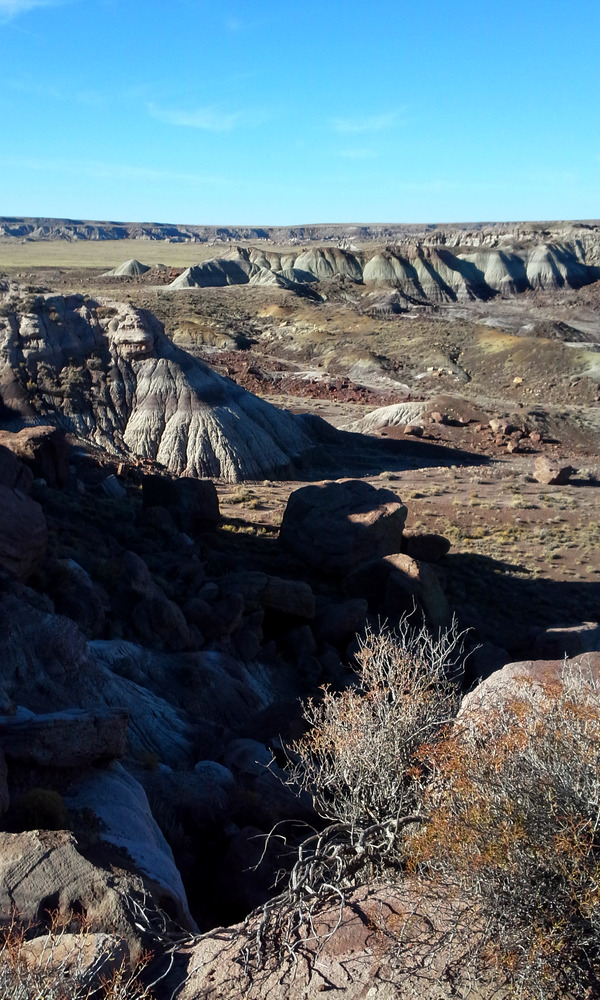 Jasper Forest Overlook