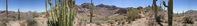 This panorama highlights Mount Ajo as seen from the first ridge as you hike towards Bull Pasture. The end of Bull Pasture trail is where the route to the summit begins.